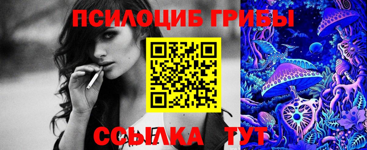 Псилоцибиновые грибы Psilocybine cubensis Кохма